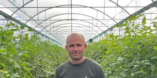 NJEREZIT E PUNES/ Njihuni me Ilian, sipërmarrësin e sukssesshëm të domateve