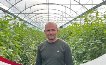 NJEREZIT E PUNES/ Njihuni me Ilian, sipërmarrësin e sukssesshëm të domateve