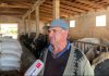 Historia frymëzuese e xha Mitatit, fermeri që ka 60 lopë: Kam punësuar gjithë familjen, shes 600 litra qumësht në ditë