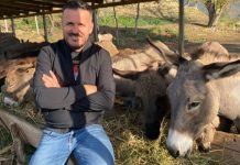 La Tiranën dhe punën si gazetar dhe hapi fermë gomaricash në fshat, Eltoni: Jam shumë i lumtur