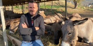 La Tiranën dhe punën si gazetar dhe hapi fermë gomaricash në fshat, Eltoni: Jam shumë i lumtur