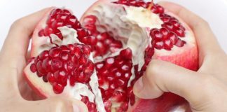 Shega, aleati i shkëlqyer i shëndetit. 5 arsye se pse duhet ta konsumoni