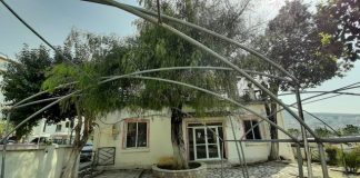 Historia e pemës 145 vjeçare të piperit të mbjellë nga Naim Frashëri