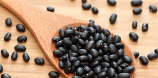 Fermeri korçar që kultivon fasule të zeza, ja përfitimet shëndetësore