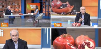 Shkodrani bën “mrekulli” në Itali, krijon llojin e vetem të shegës në botë