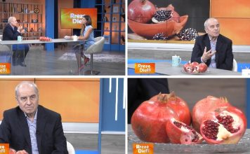 Shkodrani bën “mrekulli” në Itali, krijon llojin e vetem të shegës në botë