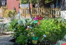 Projekti i veçante/ Kopshte didaktike në hapësirat e oborreve të shkollave