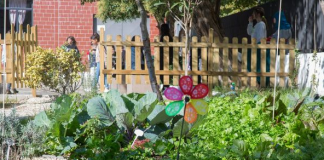 Projekti i veçante/ Kopshte didaktike në hapësirat e oborreve të shkollave