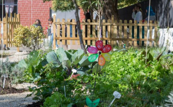 Projekti i veçante/ Kopshte didaktike në hapësirat e oborreve të shkollave