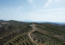 FOTOT/ Njihuni me Ermirin, i riu mbush gjithë malin me shegë