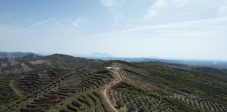 FOTOT/ Njihuni me Ermirin, i riu mbush gjithë malin me shegë