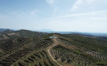 FOTOT/ Njihuni me Ermirin, i riu mbush gjithë malin me shegë