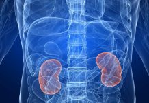 Pse kemi dy veshka nëse mund të jetojmë vetëm me një?