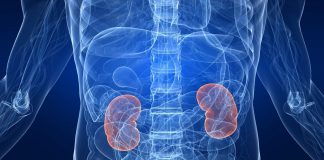 Pse kemi dy veshka nëse mund të jetojmë vetëm me një?