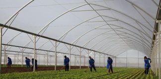 Njerëzit e punës/ Denada, historia e një fermereje të suksesshme