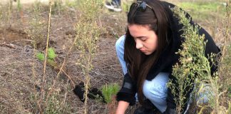 AdZM Vlorë mbjell dhjetëra pisha në zonën PishëPoro-Nartë