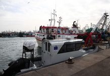 BE dhuron dy anije patrullimi për Shqipërinë/ Do të përdoren për të inspektuar sektorin e peshkimit