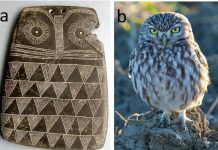 Si ishin lodrat e fëmijëve 5 000 vjet më parë?