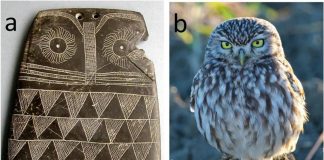 Si ishin lodrat e fëmijëve 5 000 vjet më parë?