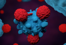 Shkencëtarët në Japoni zbulojnë metodën që vret qelizat kanceroze