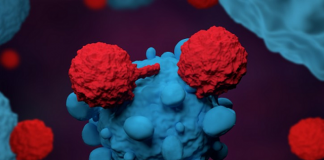 Shkencëtarët në Japoni zbulojnë metodën që vret qelizat kanceroze