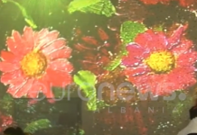 E para në rajon | Korça me sallë multimediale për zhvillimin e ideve inovative