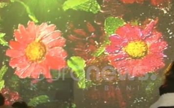 E para në rajon | Korça me sallë multimediale për zhvillimin e ideve inovative