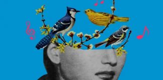 Dëgjimi i cicërimës së zogjve mund të ndihmojë në zbutjen e ankthit