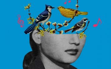 Dëgjimi i cicërimës së zogjve mund të ndihmojë në zbutjen e ankthit