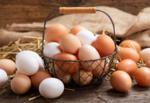 Të bardha apo kafe: Cilat vezë janë më të shëndetshme?