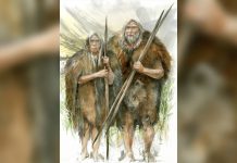 KURIOZITET/ Zbulohet se kur nisën njerëzit që të vishnin rroba, e dhëna interesante