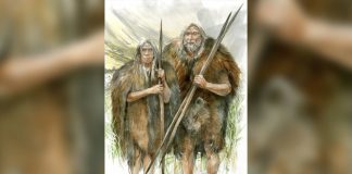 KURIOZITET/ Zbulohet se kur nisën njerëzit që të vishnin rroba, e dhëna interesante