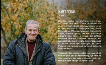 FOTO/ Njihuni me Ismetin, 70-vjeçarin që ka mbjellë 100 dynym tokë me pemë