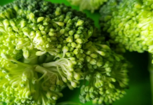 Vitamina që i duhet trupit për një sistem imunitar të shëndetshëm