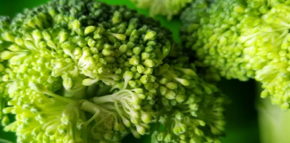 Vitamina që i duhet trupit për një sistem imunitar të shëndetshëm