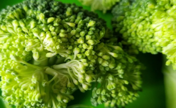 Vitamina që i duhet trupit për një sistem imunitar të shëndetshëm