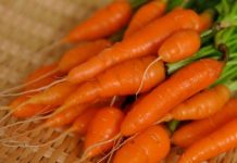 Perimet Më Të Freskëta Dhe Të Shijshme Të Janarit