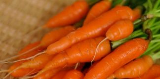 Perimet Më Të Freskëta Dhe Të Shijshme Të Janarit