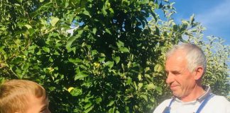 Njihuni me Vehipin, biznesmeni rikthen traditën dibrane të përpunimit të frutave