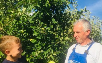 Njihuni me Vehipin, biznesmeni rikthen traditën dibrane të përpunimit të frutave