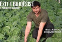 Njihuni me Mariglenin, i riu që la emigrimin dhe ka 13 dynym serra