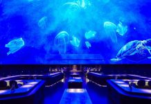 Kuzhinë surreale, restoranti ku shërbehen receta të pazakonta