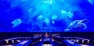 Kuzhinë surreale, restoranti ku shërbehen receta të pazakonta