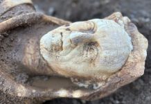 Arkeologët zbulojnë statujën e Herkulit në Romë