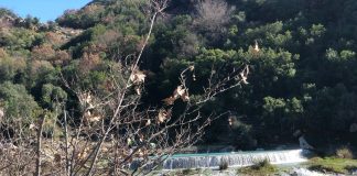 Ujërat termale të Bënjës, destinacion i preferuar dhe gjatë dimrit