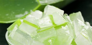 Xheli i ngrirë i Aloe Verës, pse duhet ta përdorni për shëndetin