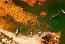 FOTOT/ Pamje që të lënë pa frymë nga Parku Kombëtar Divjakë-Karavasta