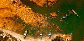 FOTOT/ Pamje që të lënë pa frymë nga Parku Kombëtar Divjakë-Karavasta