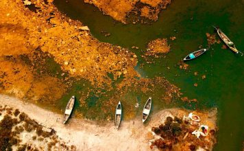 FOTOT/ Pamje që të lënë pa frymë nga Parku Kombëtar Divjakë-Karavasta