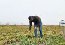 VIDEO/Njihuni me Martirjon, i riu që la emigrimin dhe hapi fermë në Divjakë